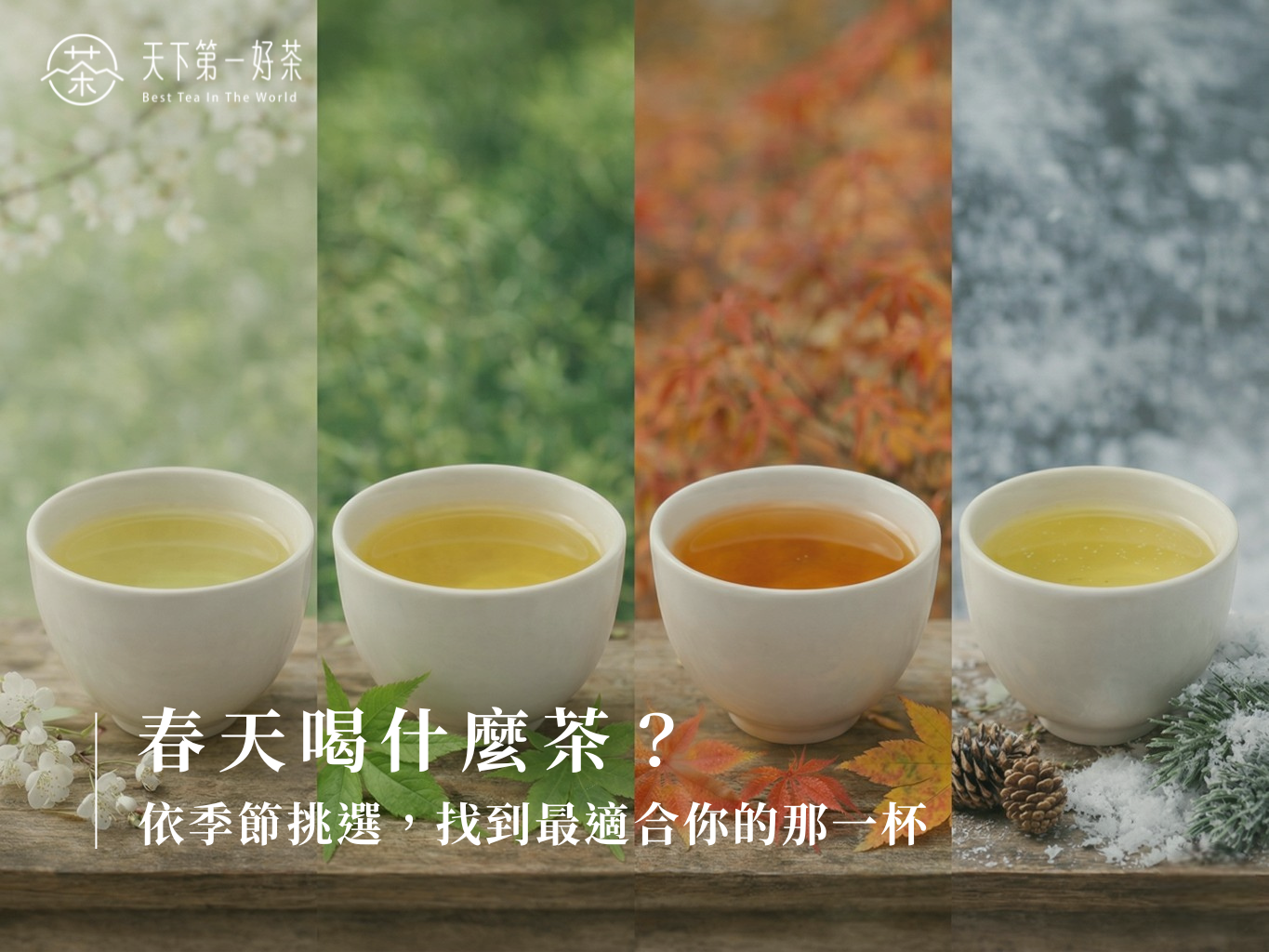 春天喝什麼茶？四季選茶指南｜台灣高山烏龍茶四季推薦