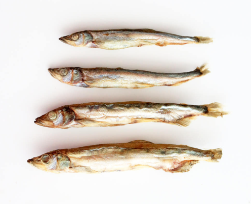 Matroos - 多春魚迷你包裝20g