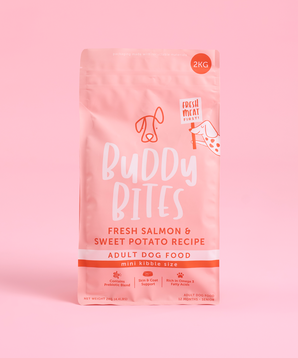 Buddy Bites 成犬狗糧 迷你版三文魚甜薯成犬乾狗糧 2KG
