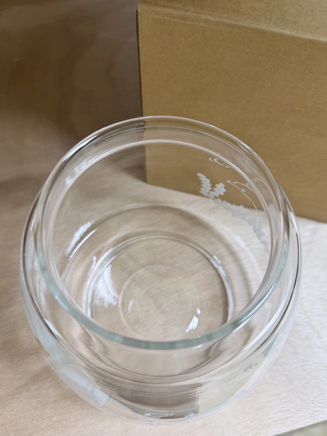 花蓮分會｜療癒玻璃水缸