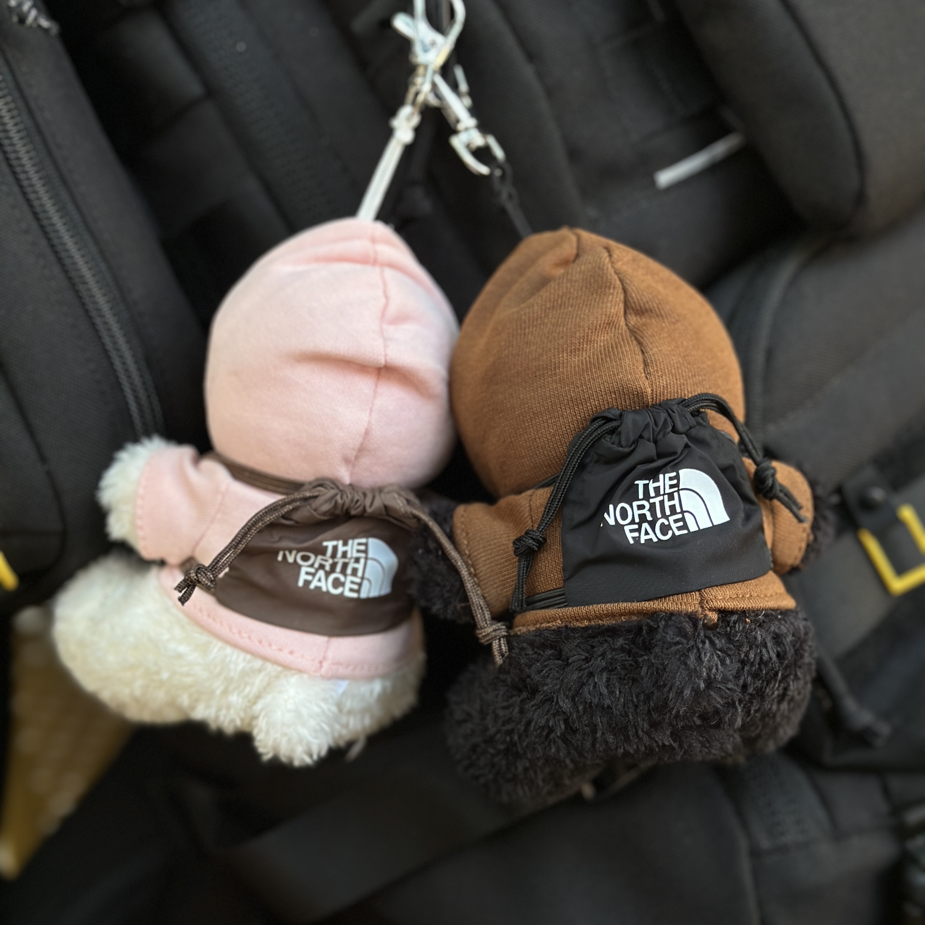 【現貨】The North Face 北臉 帽tee 小熊 吊飾 NG5AR05