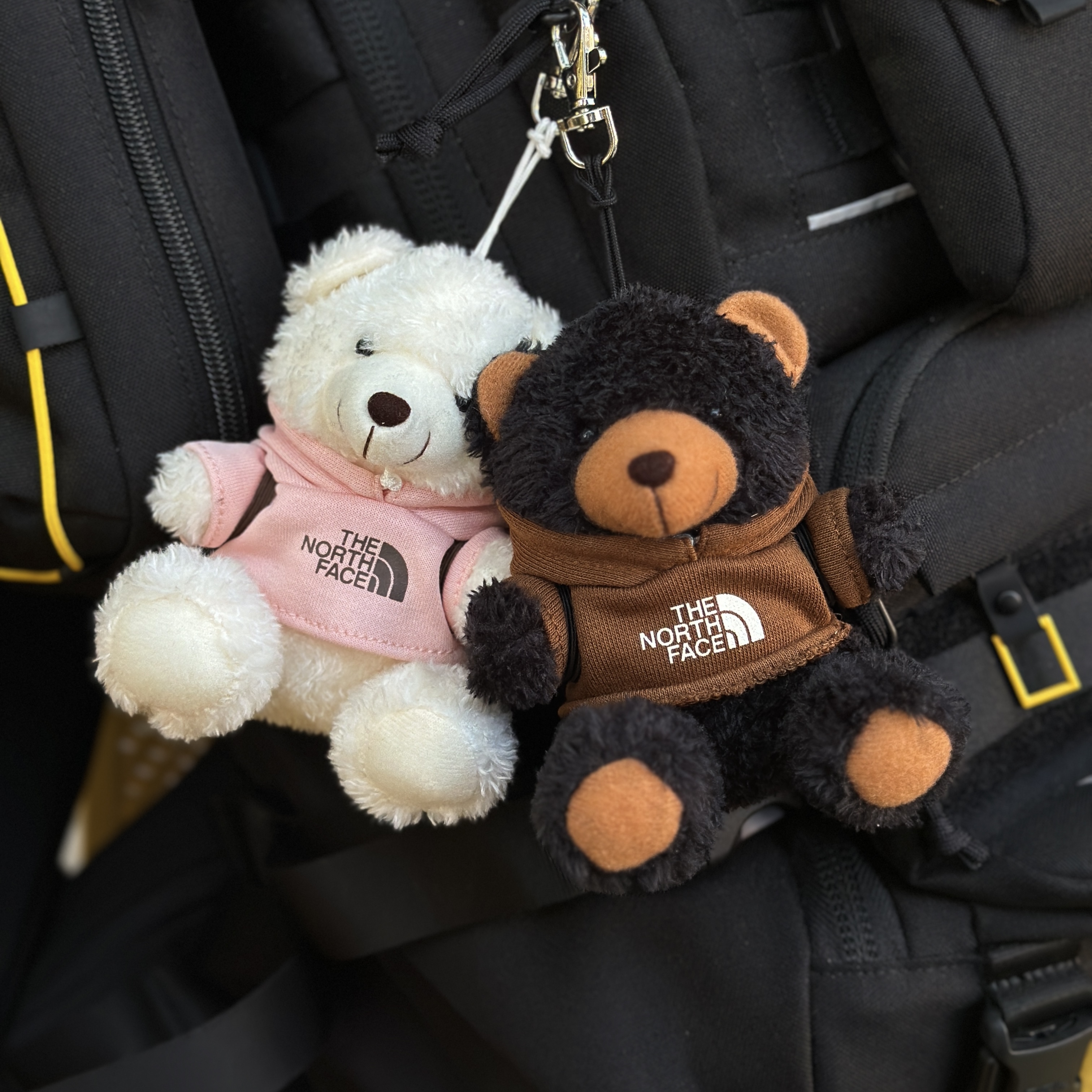 【現貨】The North Face 北臉 帽tee 小熊 吊飾 NG5AR05