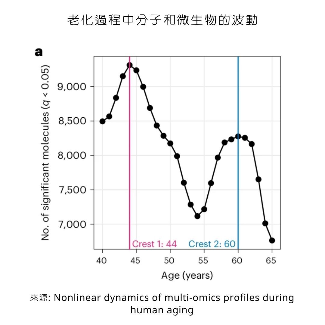 老化過程中分子和微生物的波動在44歲與60歲左右較明顯有較明顯的斷崖式變化