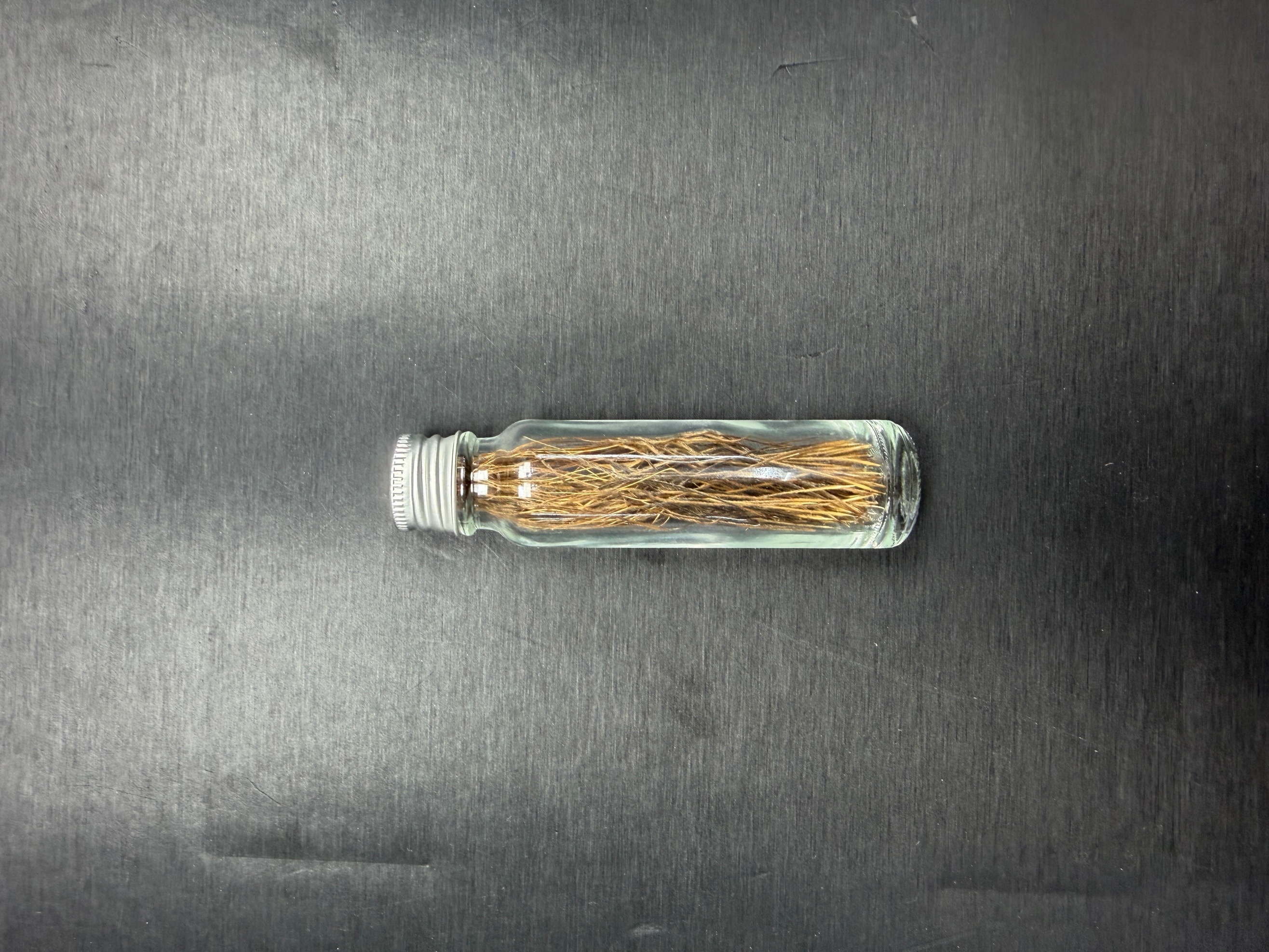 M1 髮舍利能量瓶 -M