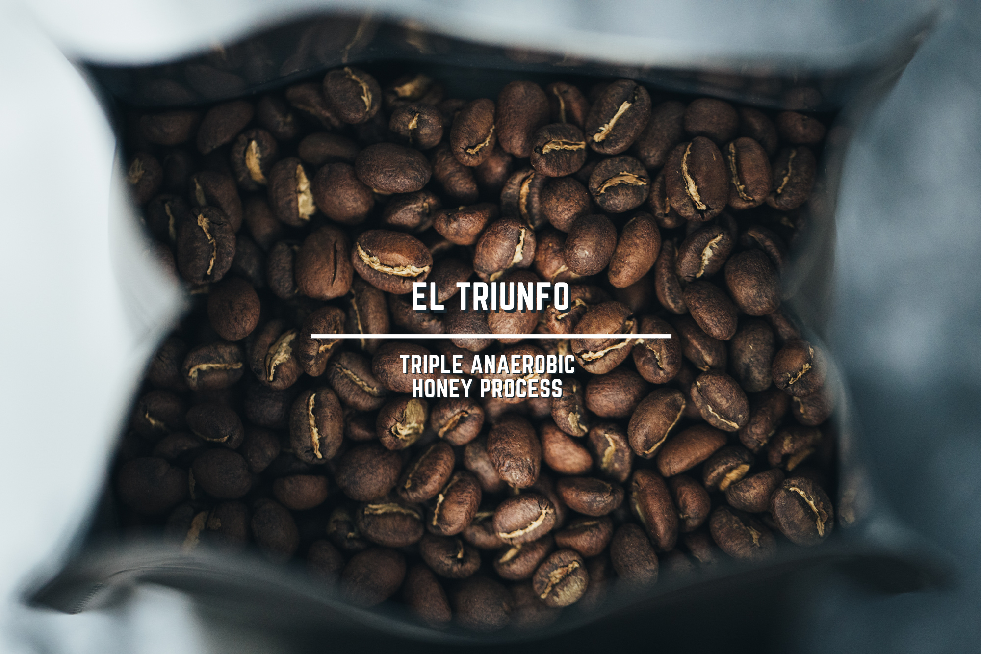 < NEW > 哥倫比亞 薇拉 勝利莊園 粉紅波旁 三重厭氧蜜處理 - 野薑花 / 荔枝果凍 / 白柚 / 脆桃 / 茉莉花茶 / 冰糖