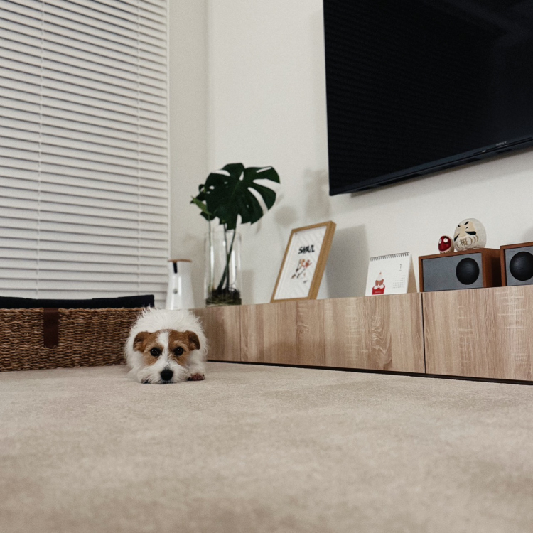 90s科技地毯-栗子褐04