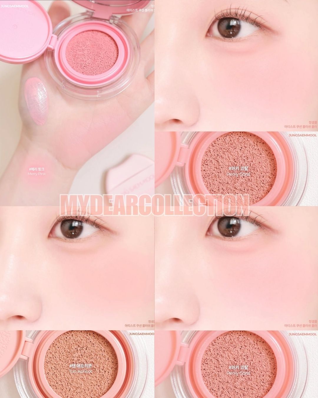 現 貨丨JUNG SAEM MOOL彩妝師柔焦氣墊腮紅 Artist Cushion Blush Blur