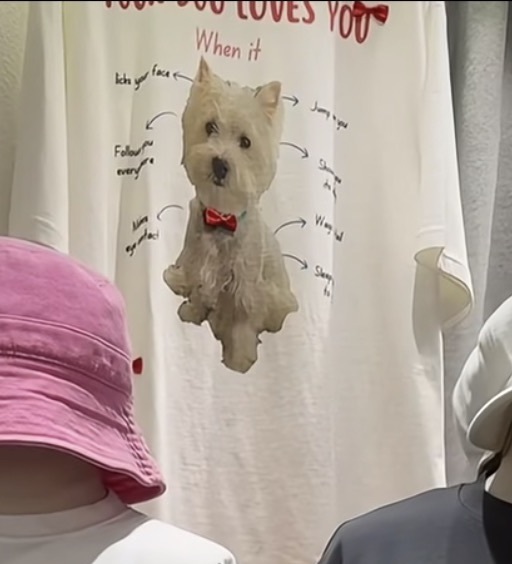 韓國西高地狗狗上衣