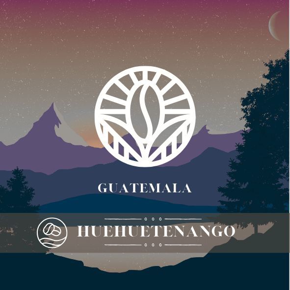 瓜地馬拉｜ 薇薇特南果｜水洗｜中深焙