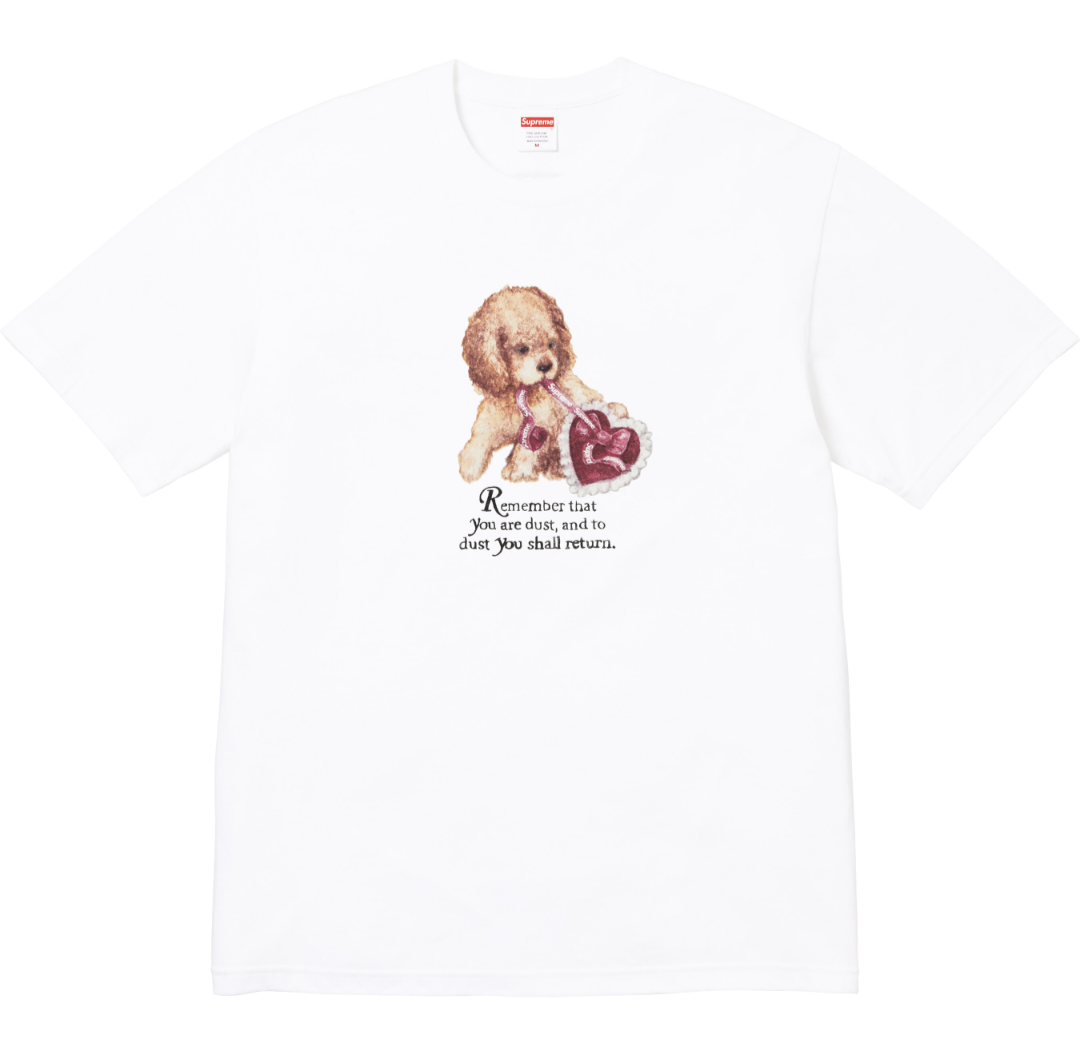 SUPREME DUST TEE短T (2色)