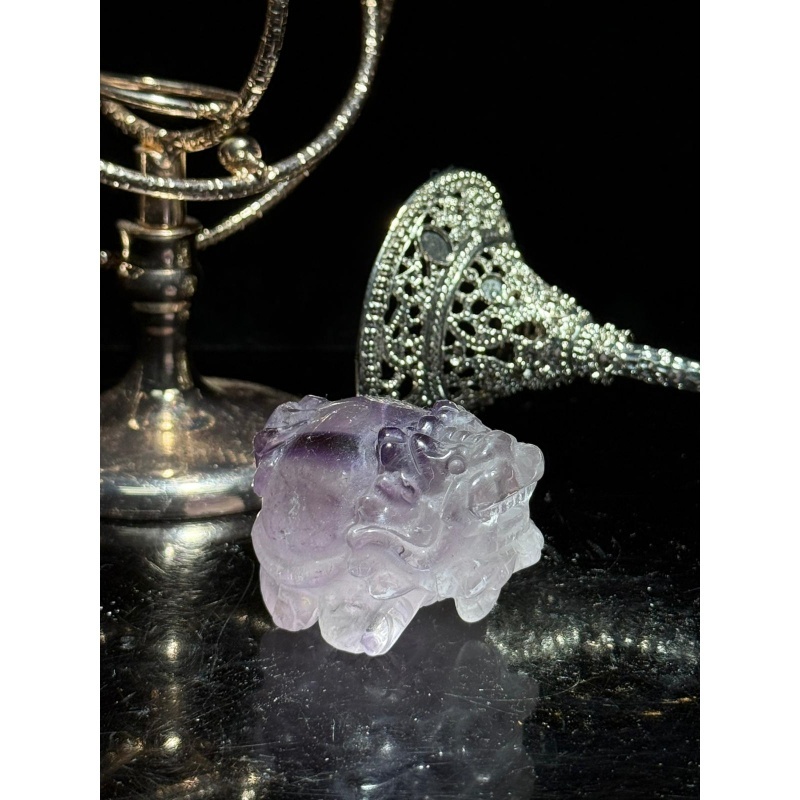 HKCG0327-063 玻利維亞紫水晶龍龜 (A63)