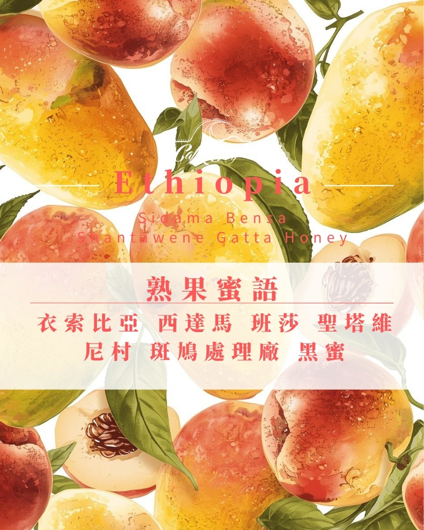 熟果蜜語｜衣索比亞 西達馬 班莎鎮 聖塔維尼村 斑鳩處理廠 黑蜜｜咖啡豆 227g