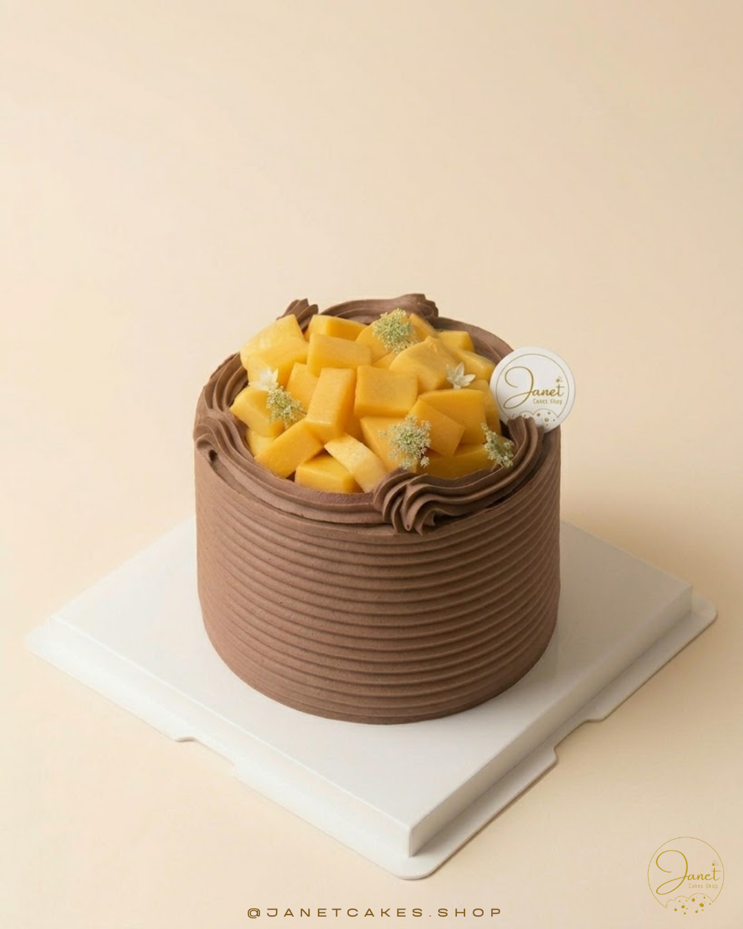 芒果朱古力蛋糕(6吋）