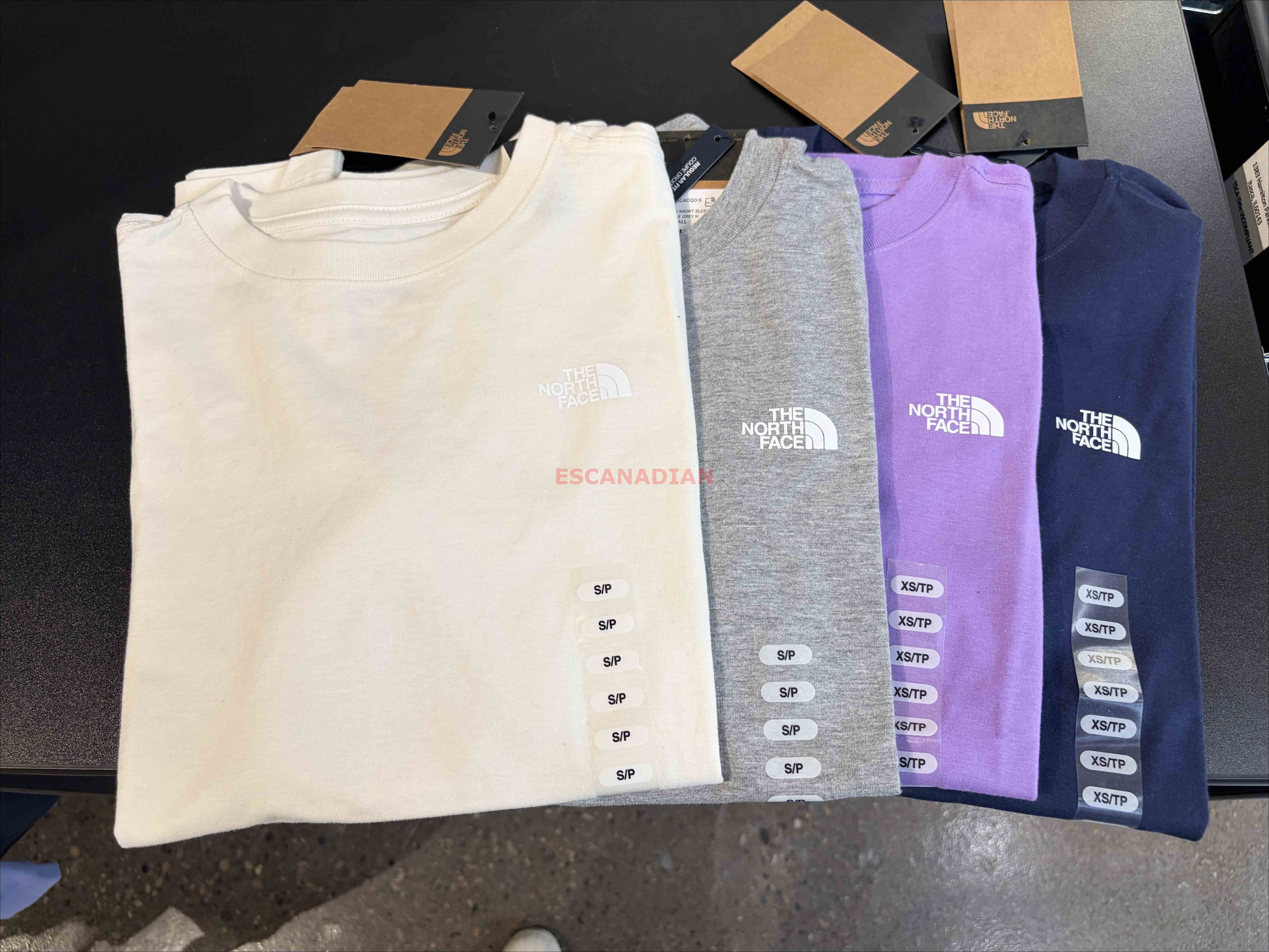 THE NORTH FACE 女大人 經典小標 短TEE (5色)