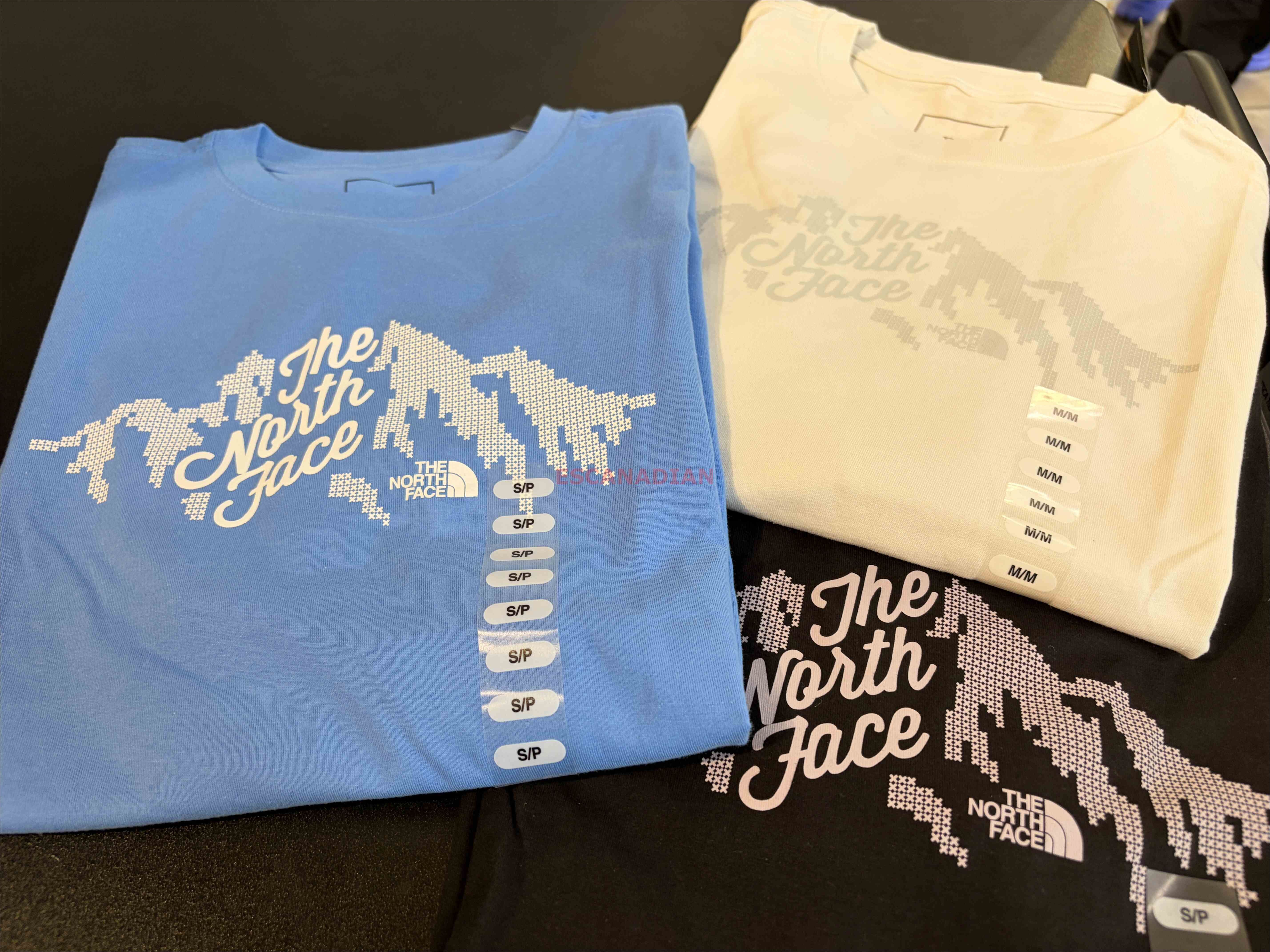 THE NORTH FACE 女大人 造型山脈圖案 短TEE  (3色)