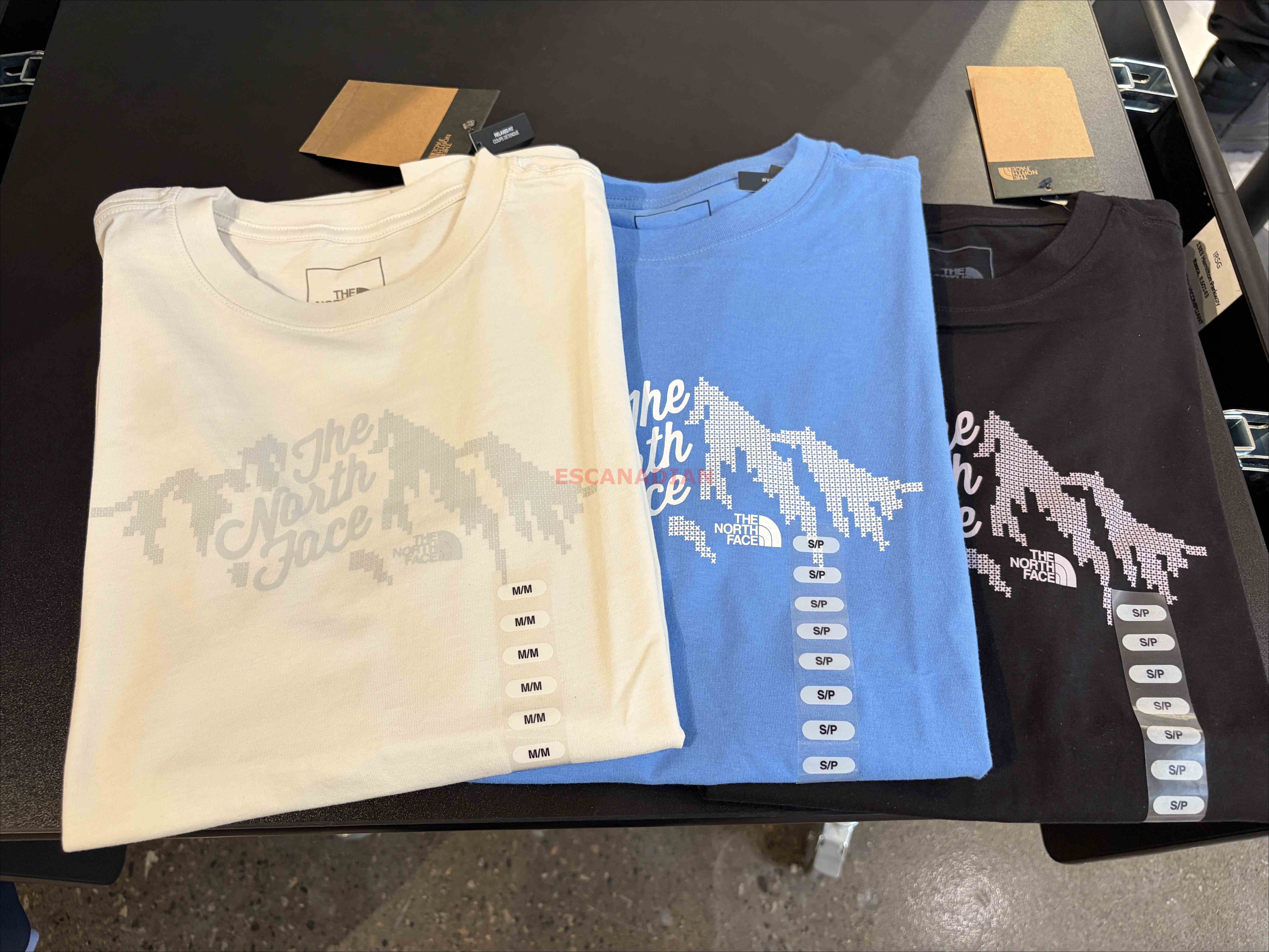 THE NORTH FACE 女大人 造型山脈圖案 短TEE  (3色)