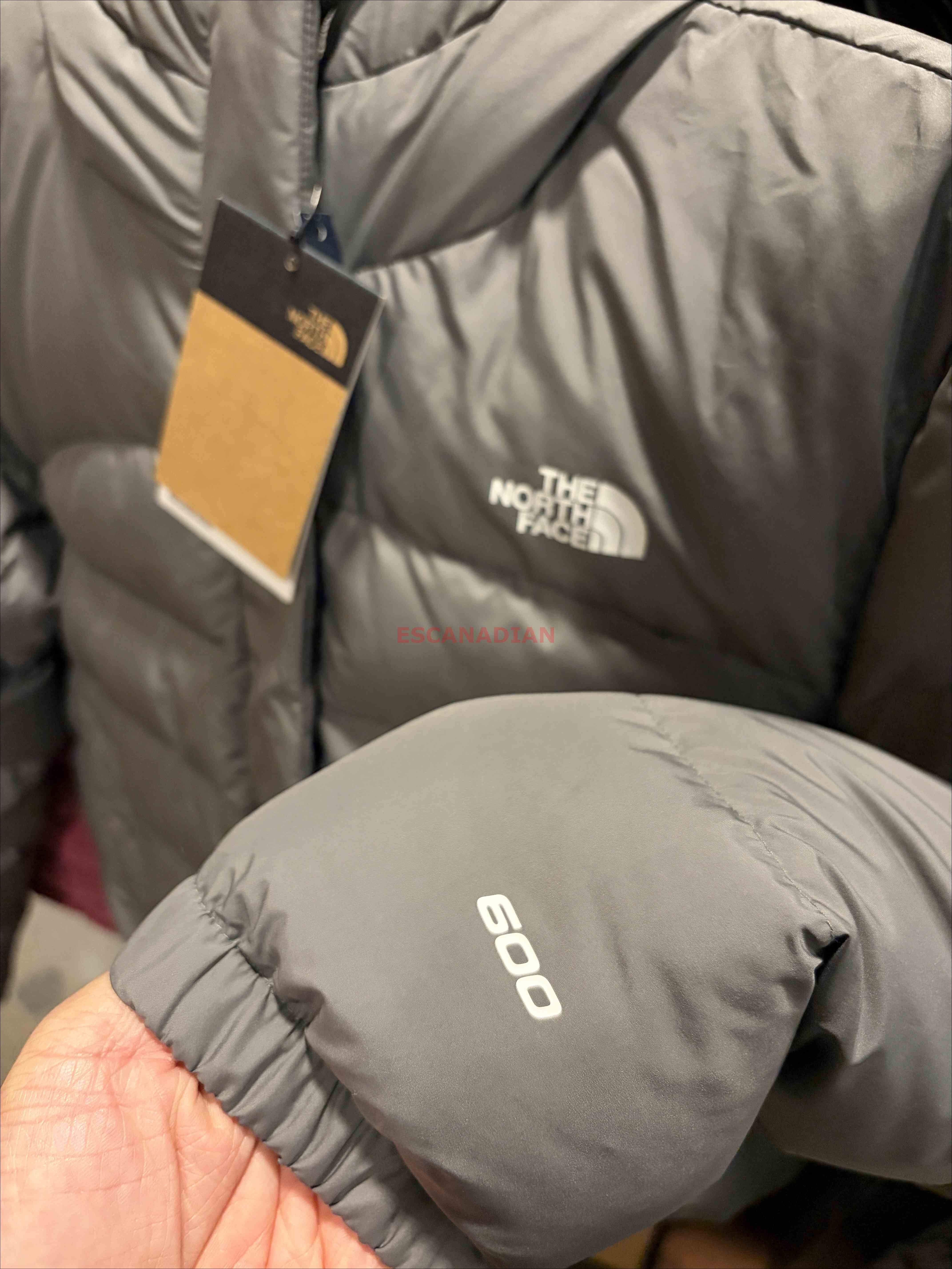 THE NORTH FACE 女大人 Baltic Puffer系列 防潑水 600蓬鬆羽絨 連帽外套 (小短版)