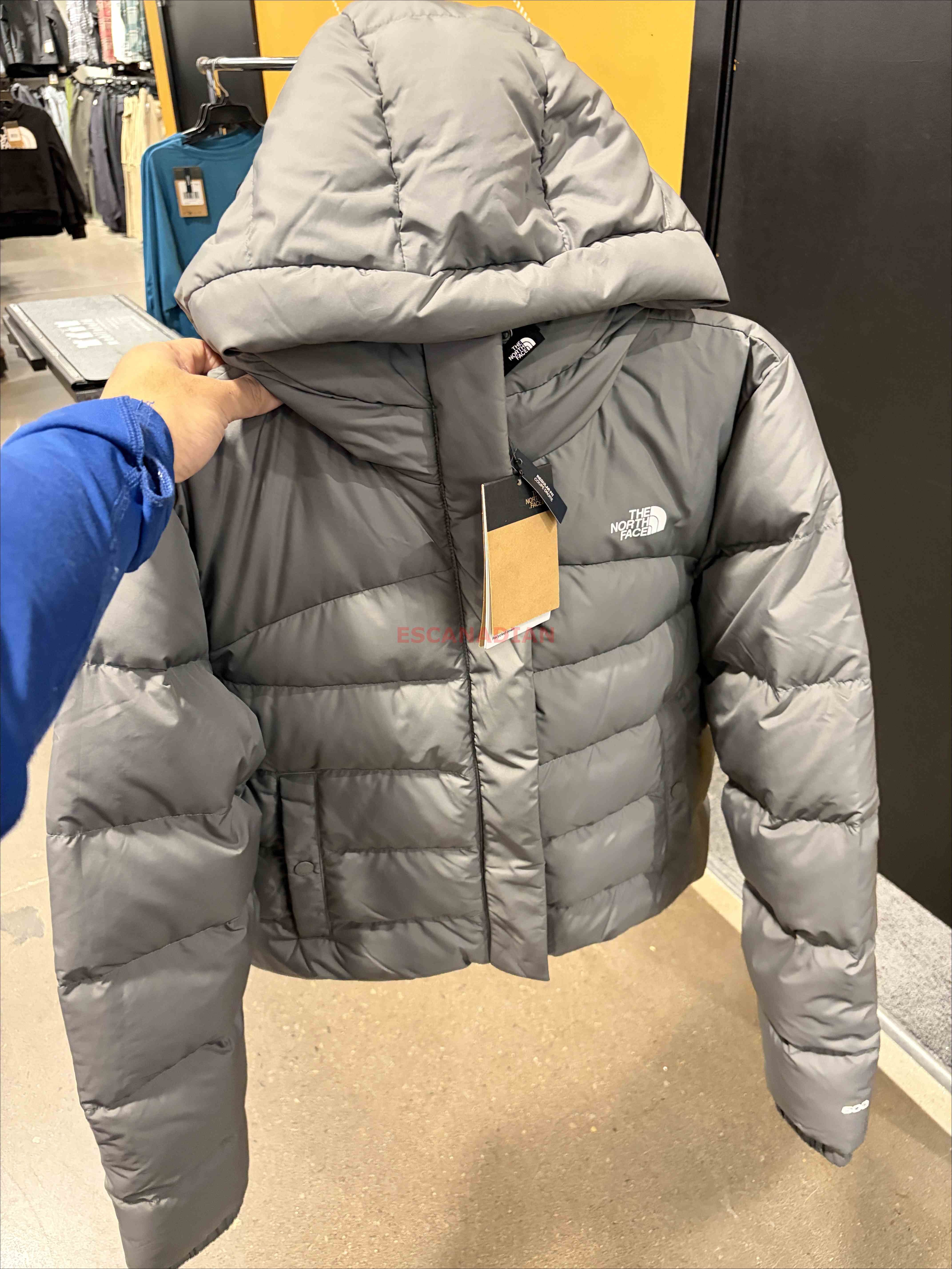 THE NORTH FACE 女大人 Baltic Puffer系列 防潑水 600蓬鬆羽絨 連帽外套 (小短版)