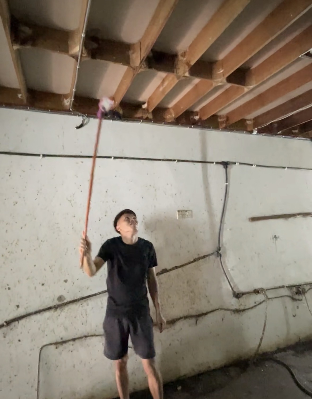 ASPI 美燕窩的燕窩採收 - 職人巡視燕屋，堅持採摘孵化後空燕巢