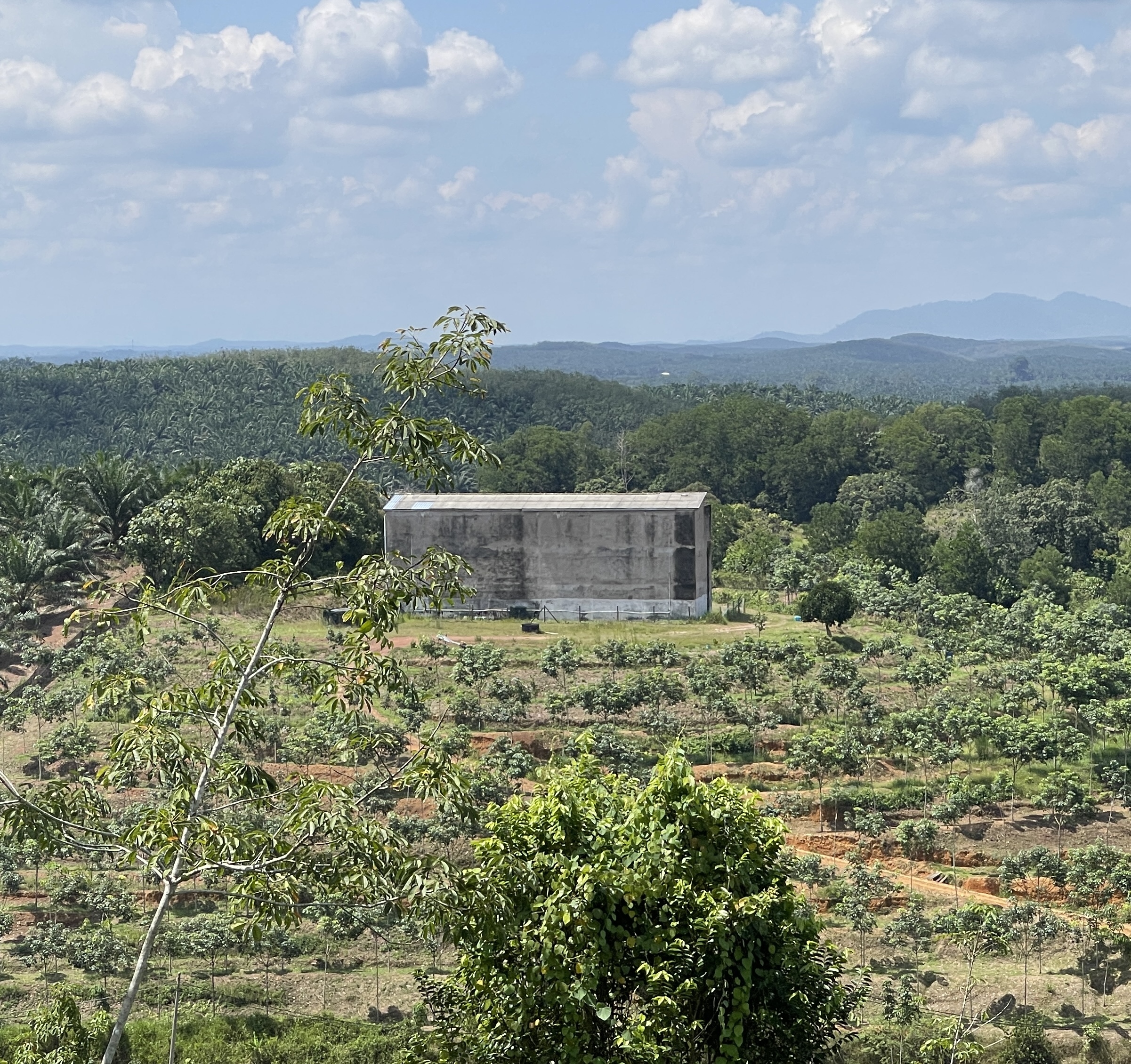 ASPI 美燕窩的頂級燕窩產地 - 馬來西亞熱帶雨林純天然引燕屋實景