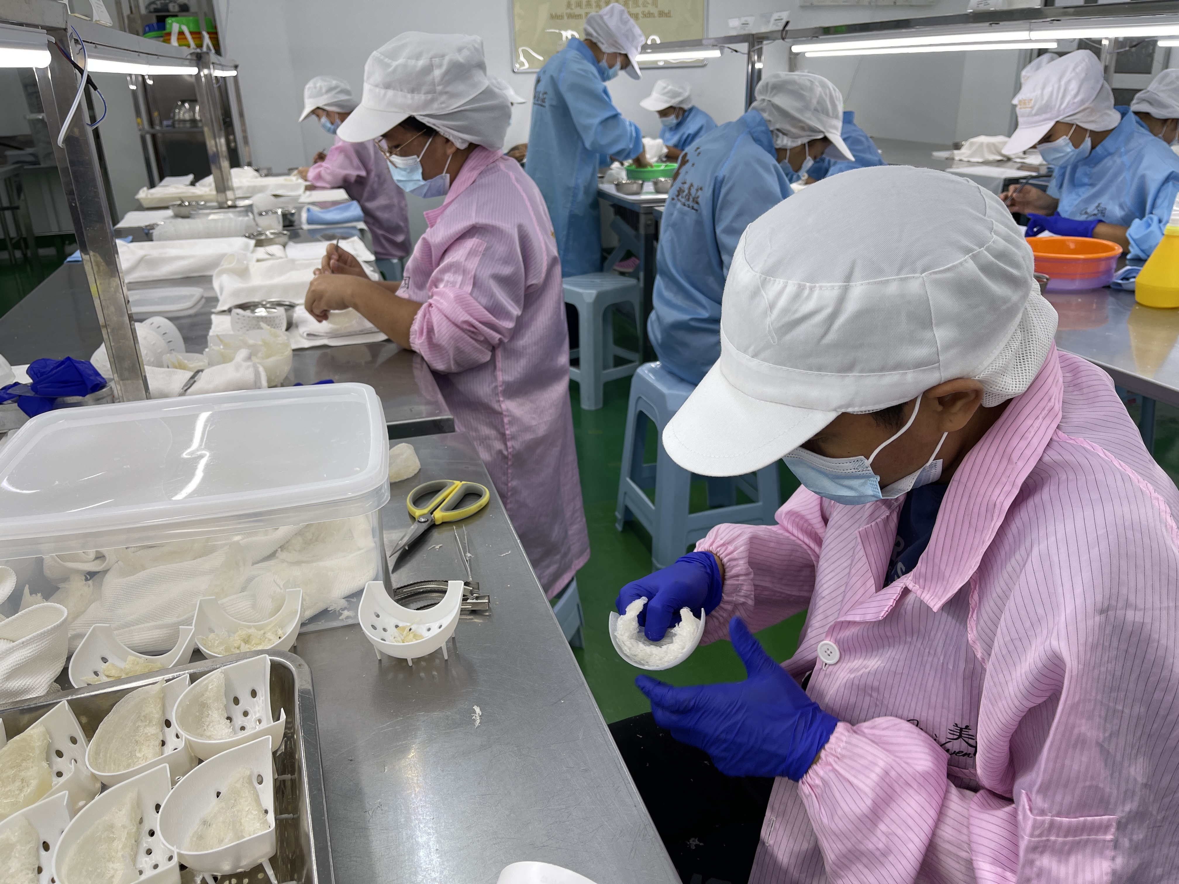 ASPI 美燕窩 - 燕絲標準化定型與精準定量製程