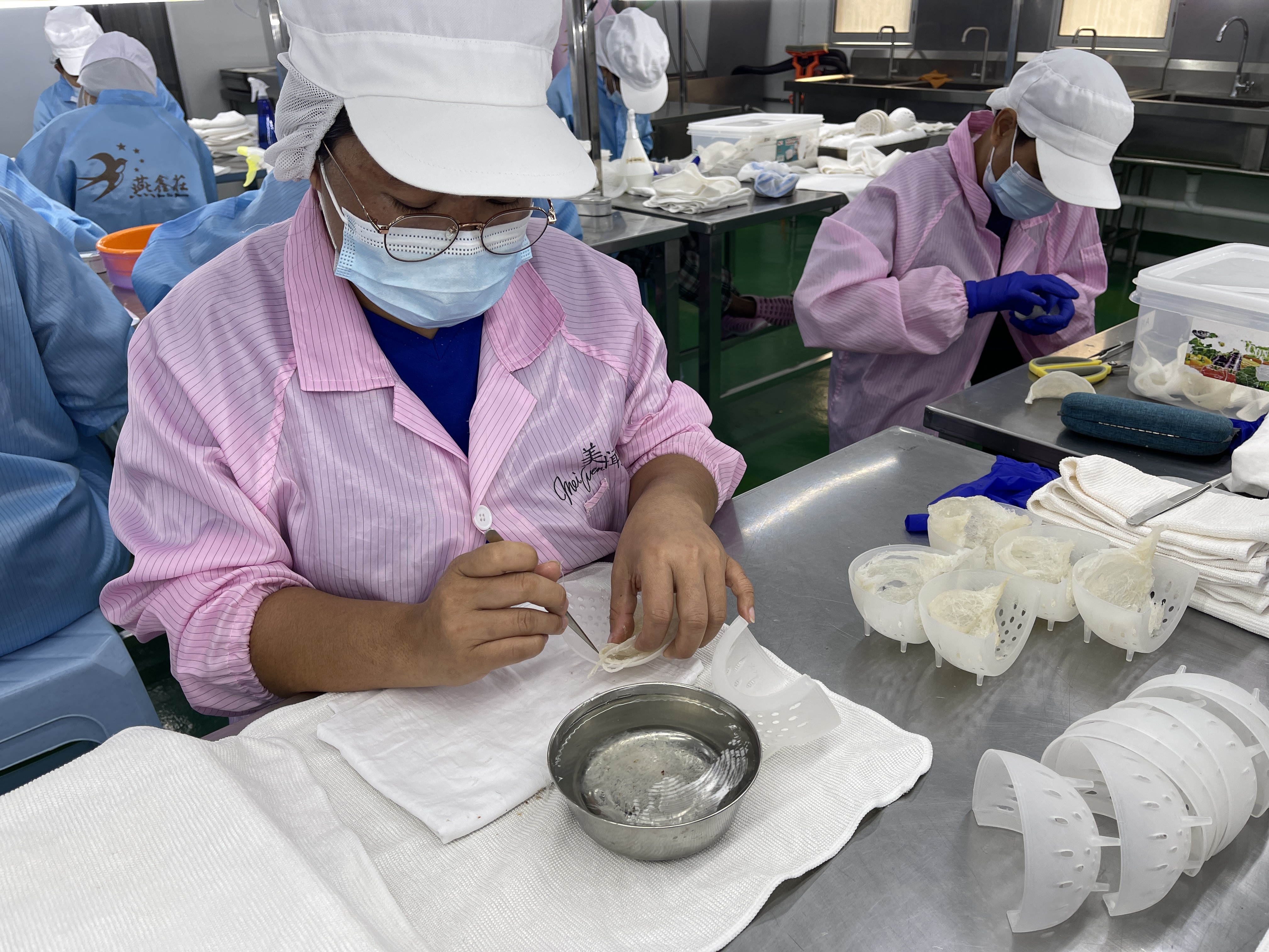ASPI 美燕窩的燕盞加工 - HACCP無塵室職人純手工挑毛，拒絕化學除毛