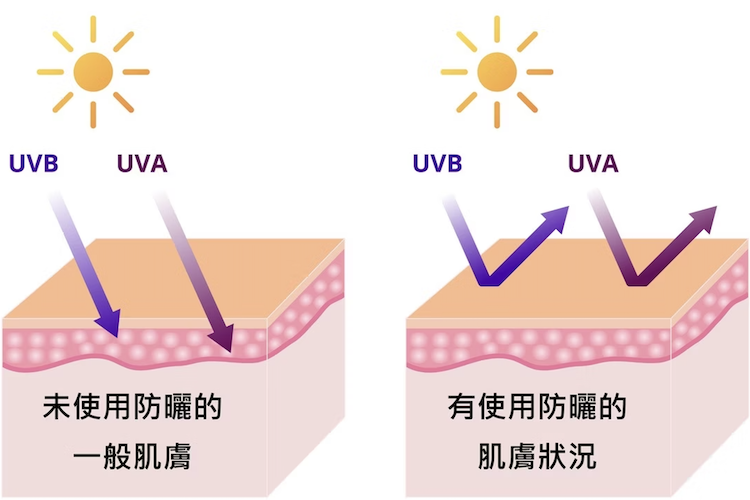 UVA_UVB_紫外線