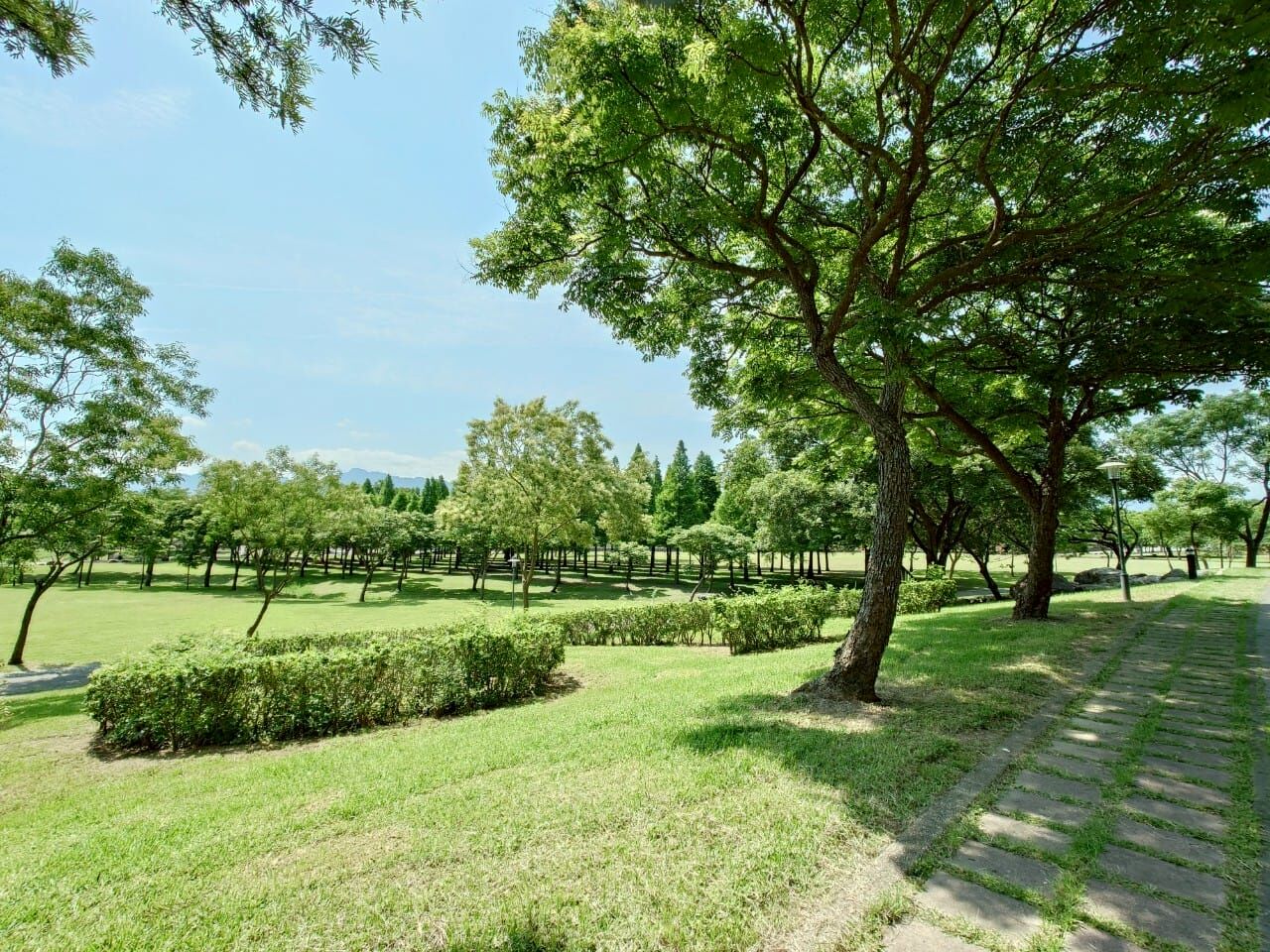 桃園 大溪河濱公園
