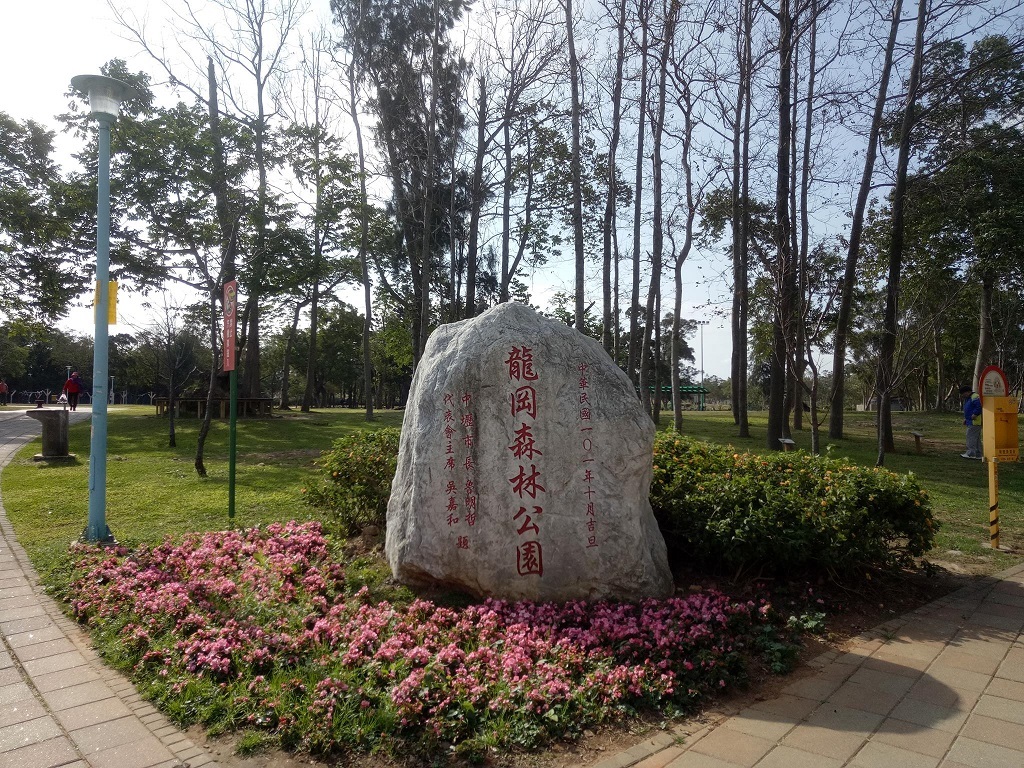 桃園 中壢 龍岡森林公園