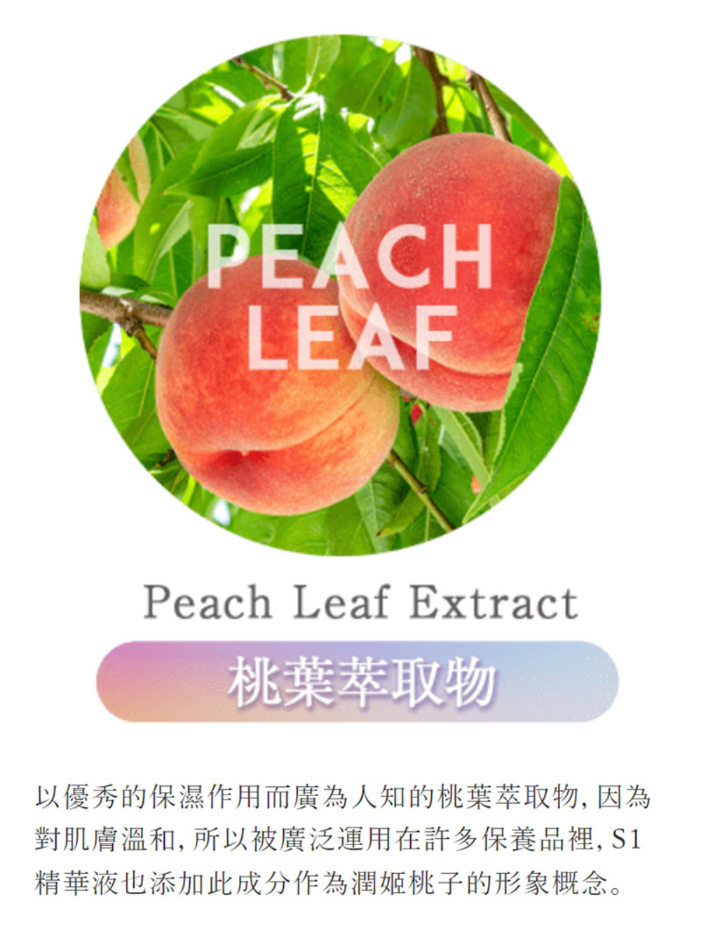 潤姬桃子 S1精華液30ml