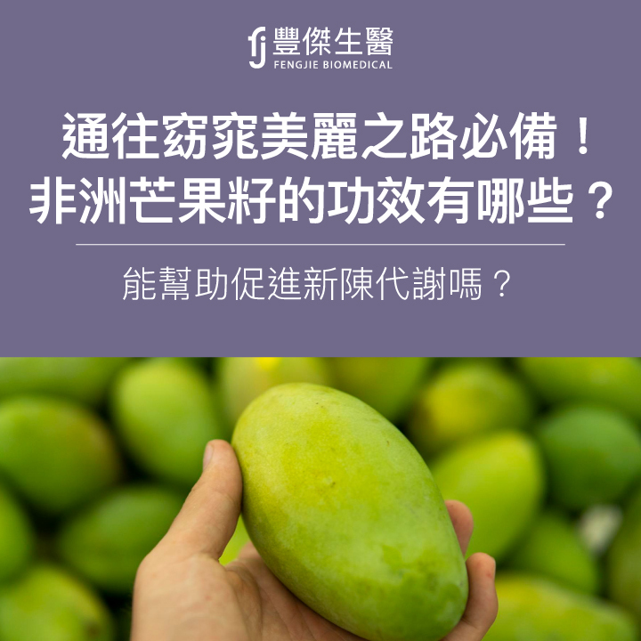 通往窈窕之路必備！非洲芒果籽的功效有哪些？能幫助促進新陳代謝嗎？