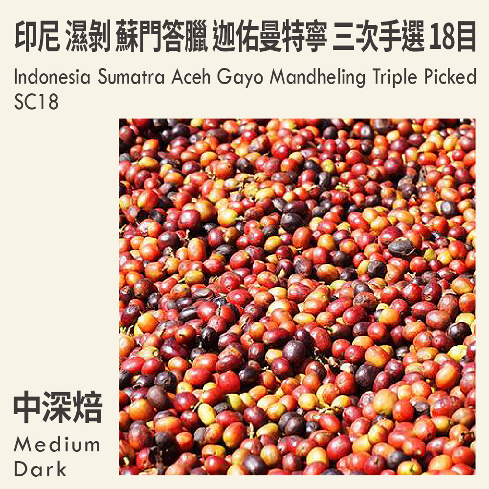 印尼 濕剝 蘇門答臘 亞齊省 迦佑曼特寧 三次手選 18目