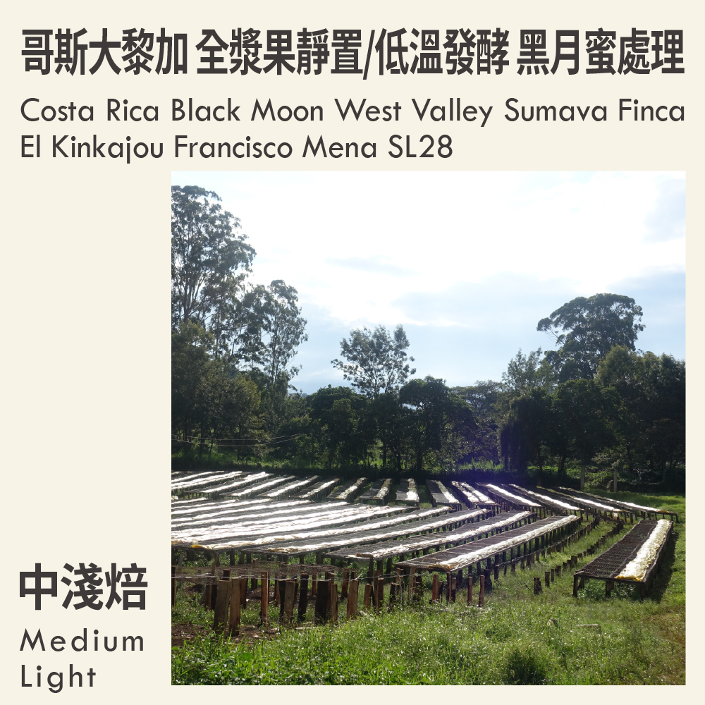 哥斯大黎加 全漿果靜置/低溫發酵 黑月蜜處理 西部谷地 舒瑪瓦微處理廠 蜜熊莊園 SL28