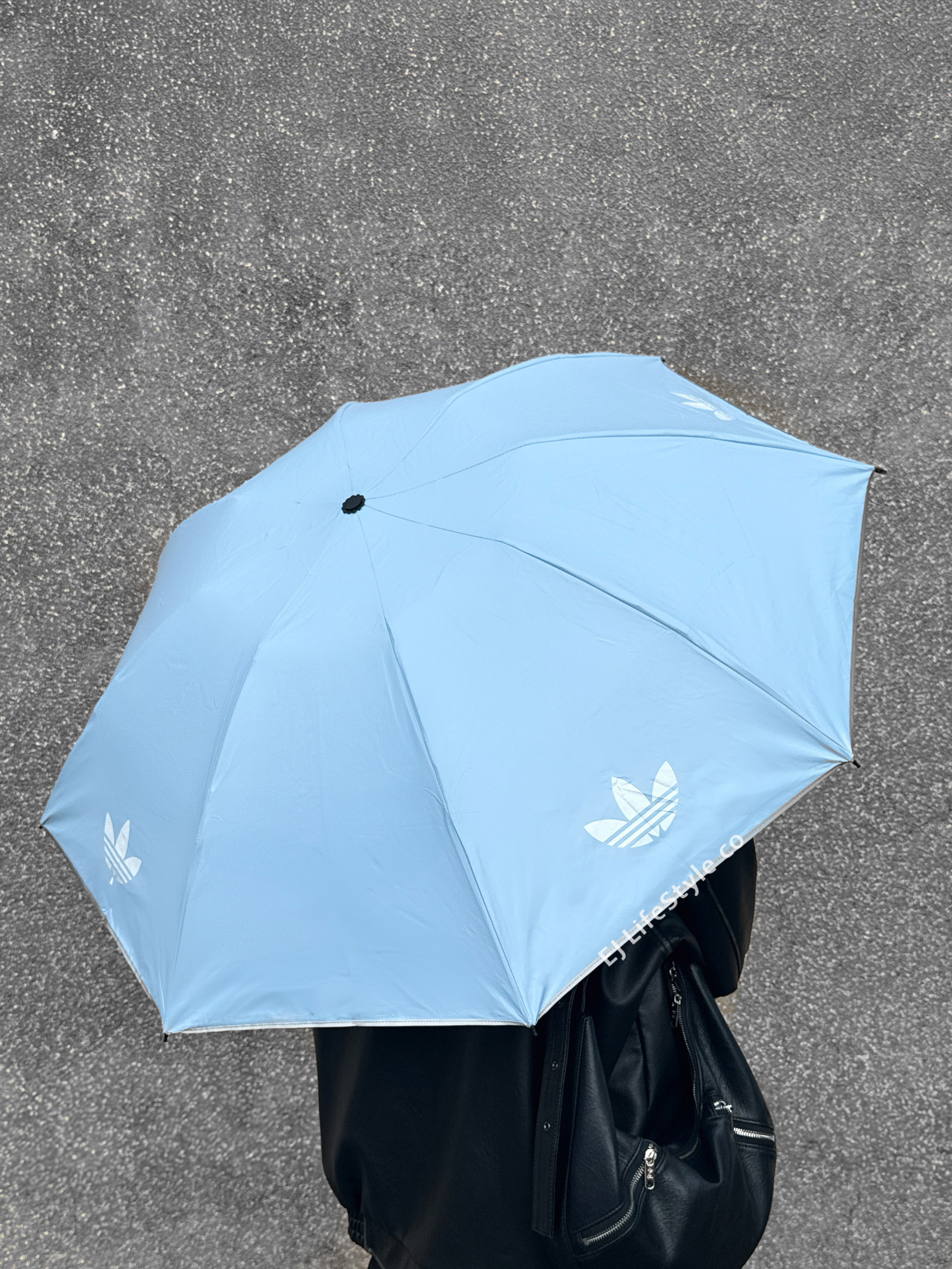 ADIDAS ORIGINALS 三葉草 自動摺疊傘 藍 彩色內裏 晴雨傘 遮陽傘 8傘骨 21吋 / 現貨