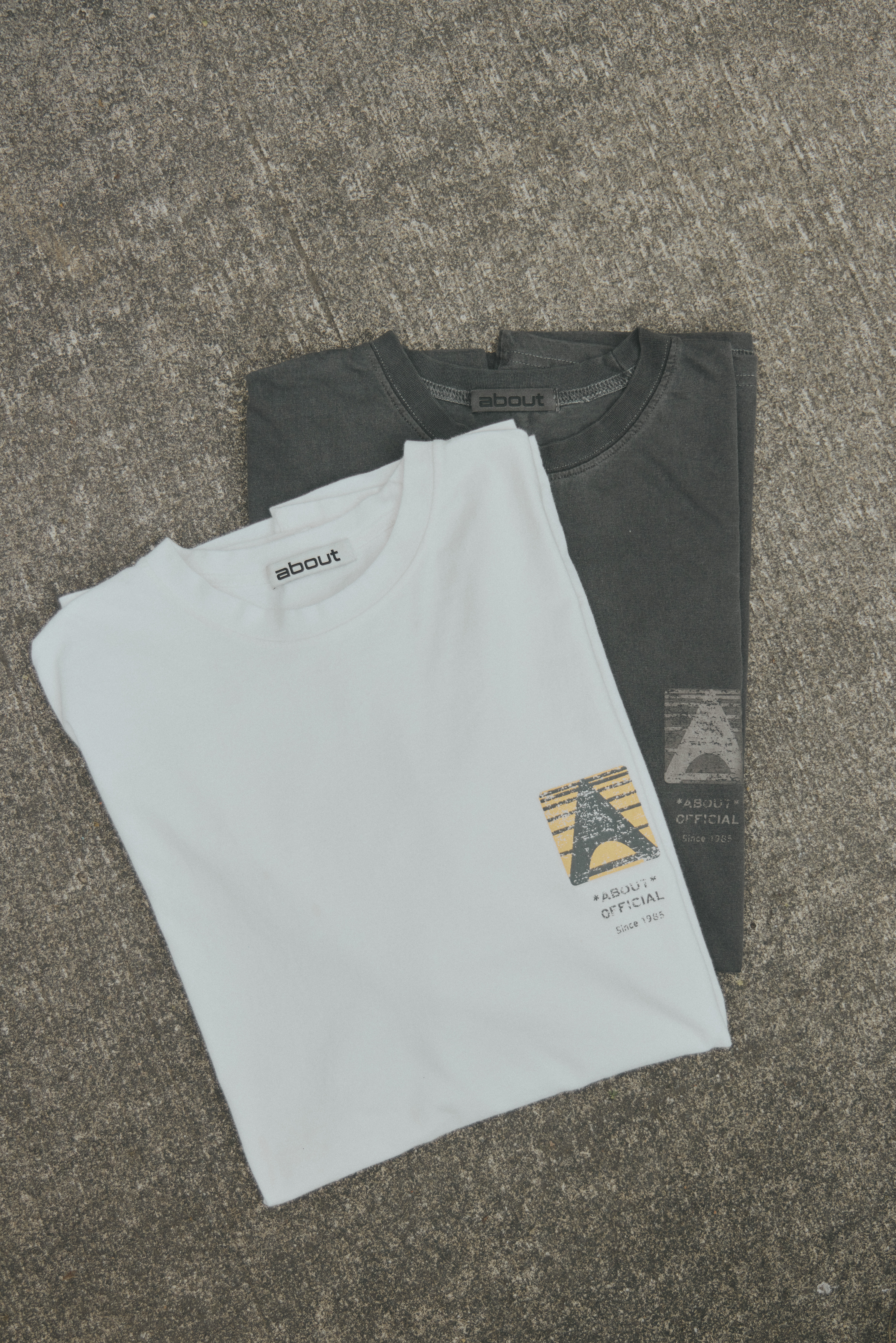 Logo水洗百搭T（2色）