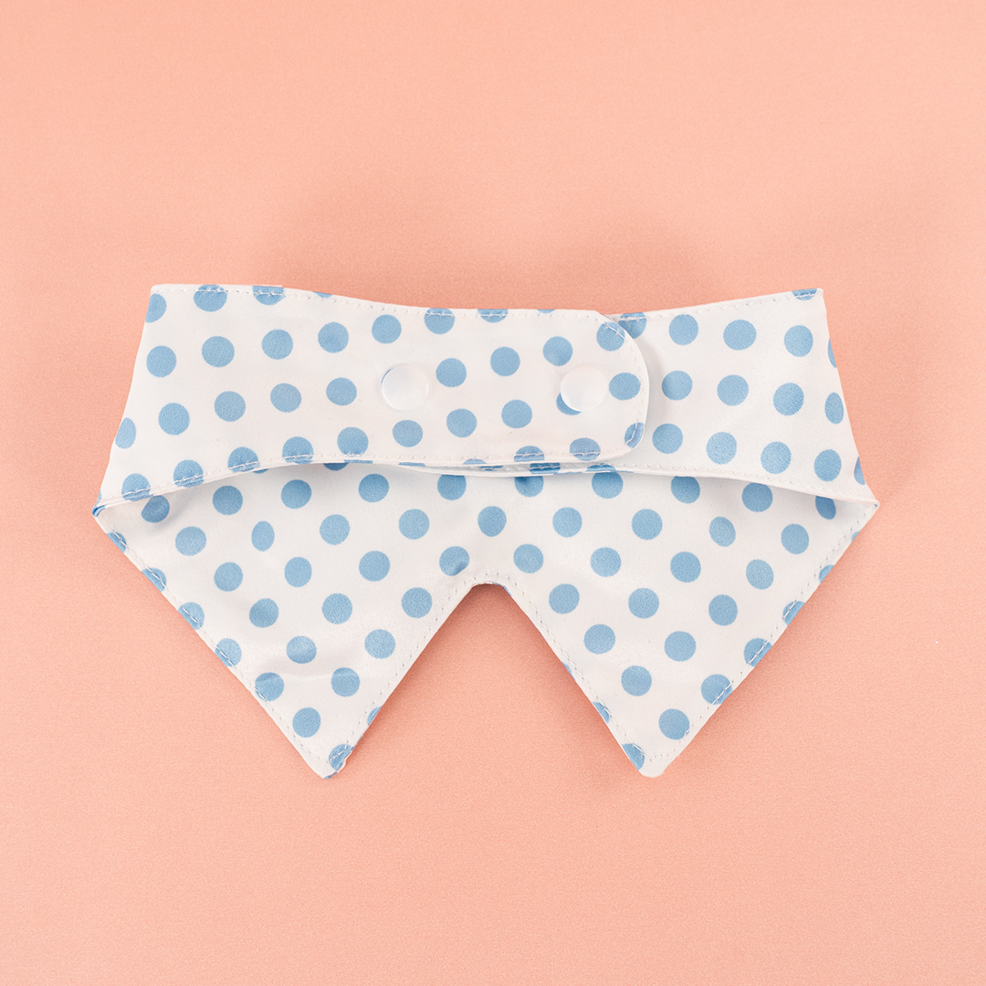 オーシャンパーク パンダ デデ カラー