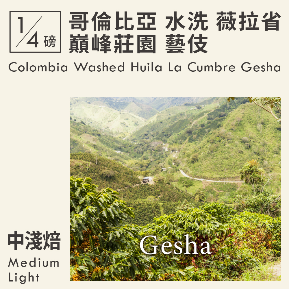 哥倫比亞 水洗 薇拉省 巔峰莊園 藝伎 0.25磅