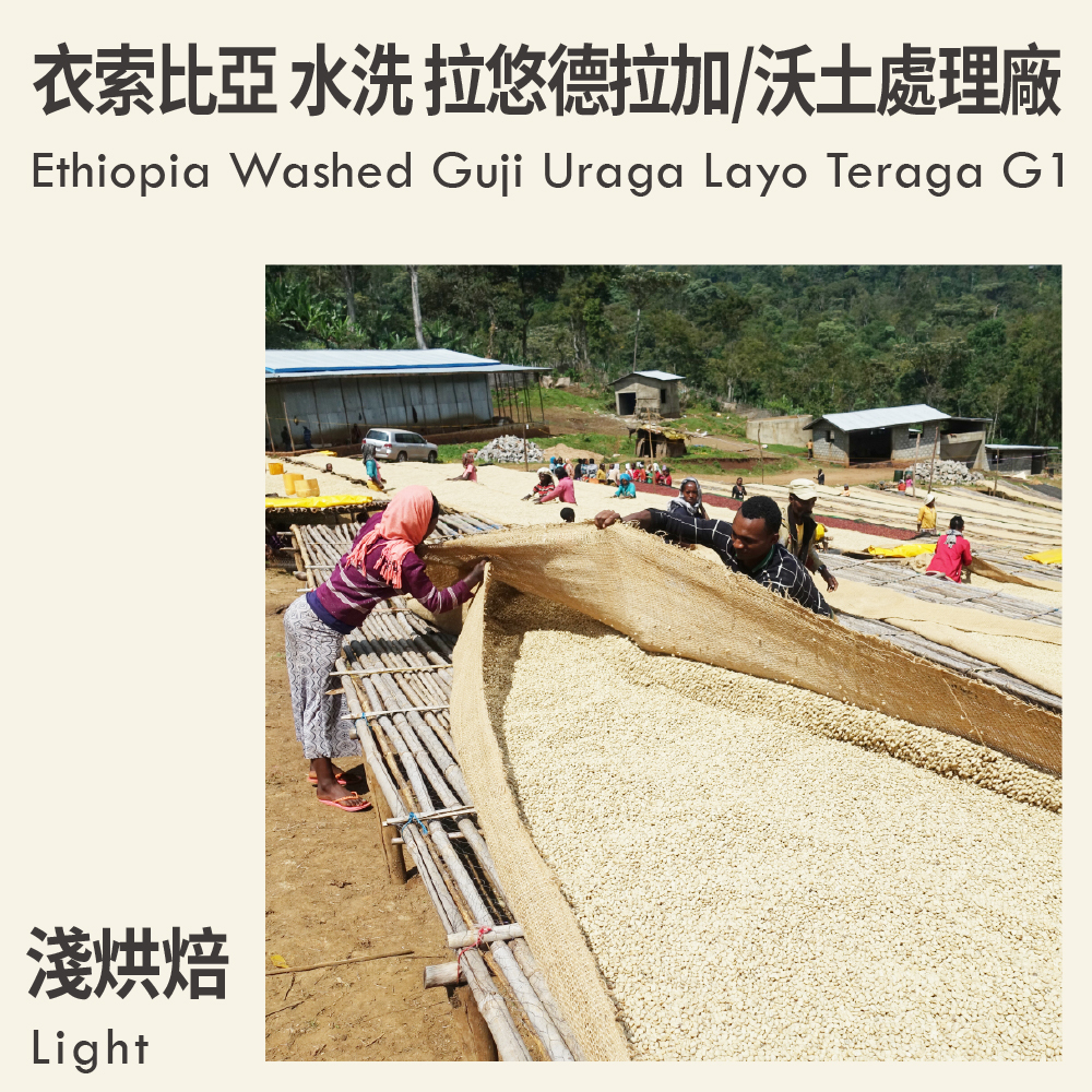 衣索比亞 水洗 烏拉嘎 拉悠德拉加/沃土處理廠 G1