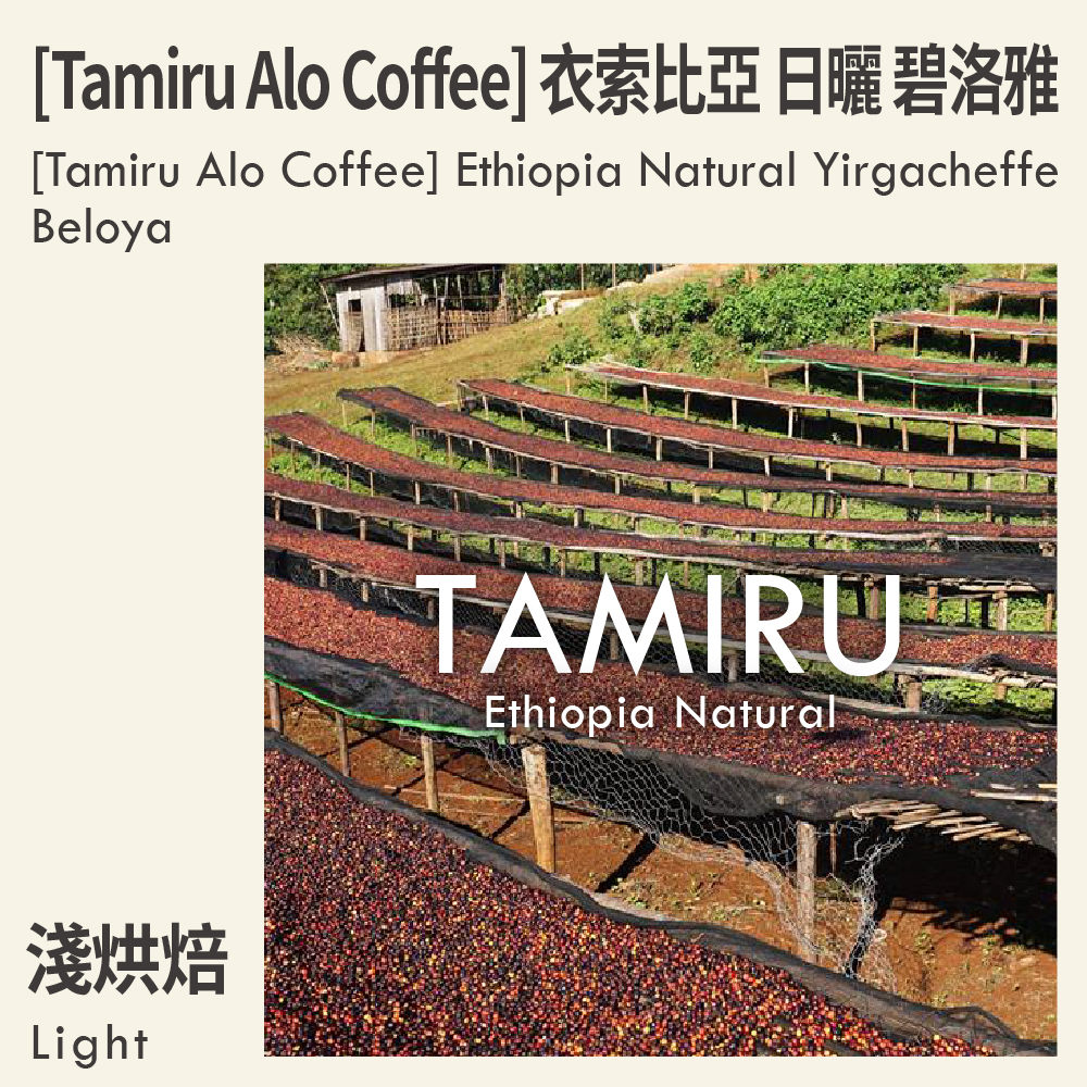 [Tamiru Alo Coffee] 衣索比亞 日曬 耶家雪菲 碧洛雅