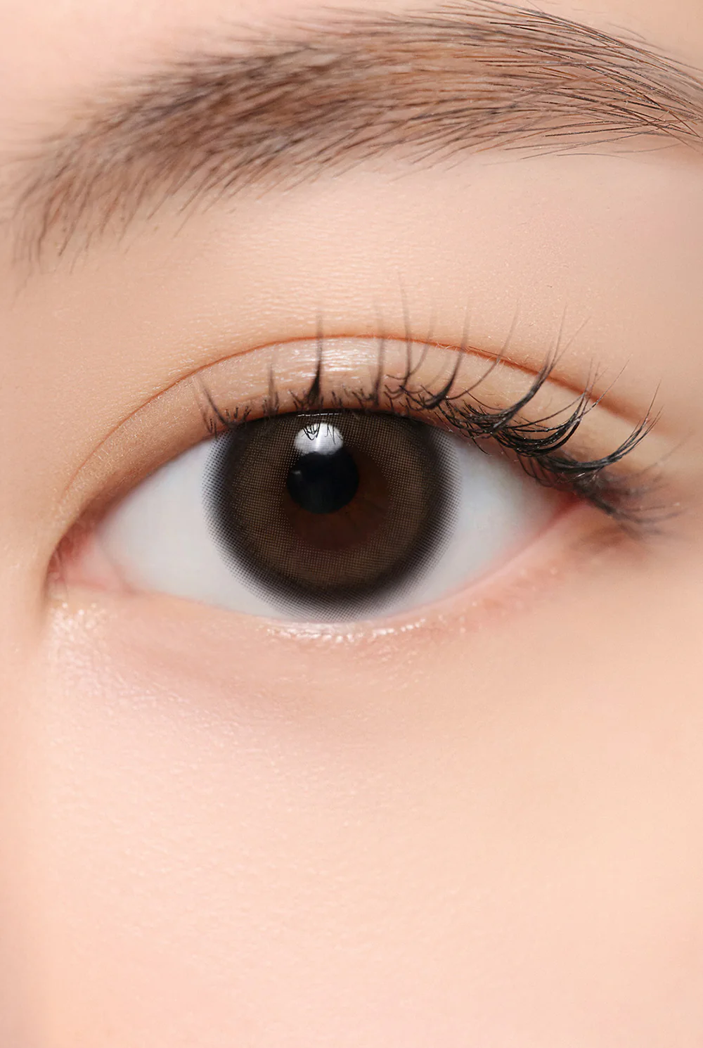 HAPA KRISTIN Quiet Kristin 1 Day 隱形眼鏡【2款色號】