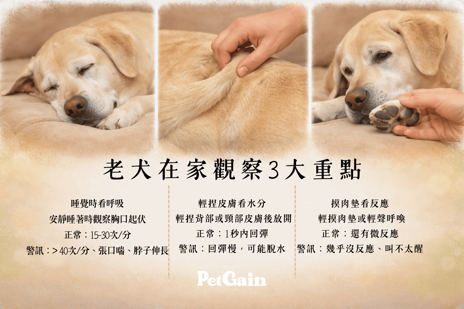 3 招快速觀察老狗不吃不喝一直睡的狀態