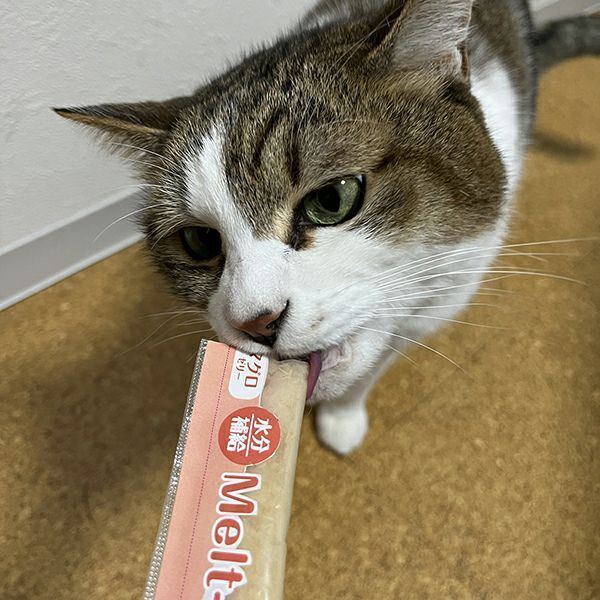 Petio 無添加保健補水貓用啫喱條 (牛磺酸+) 4本