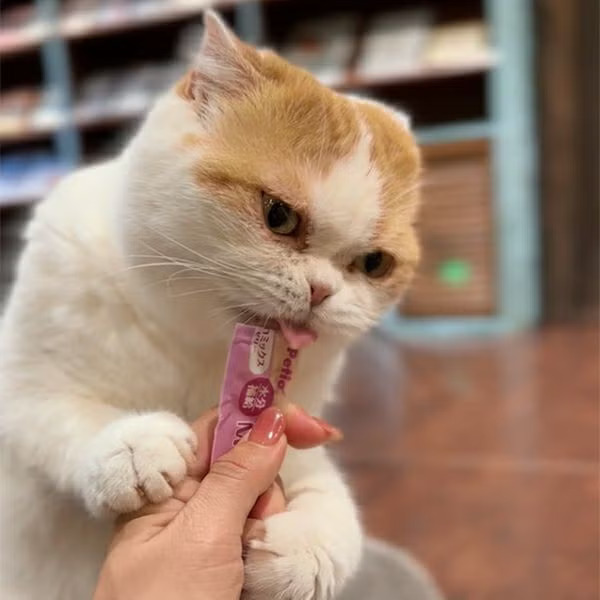 Petio 無添加保健補水貓用啫喱條 (牛磺酸+) 4本