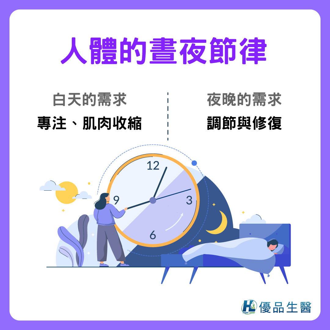 為什麼這兩個營養素適合晚上吃？