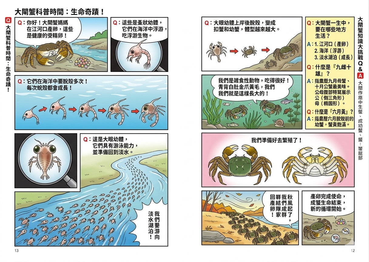 大閘蟹生命