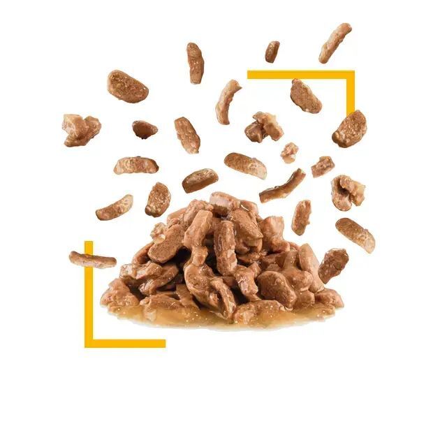 Royal Canin 貓濕糧．成貓 貓感系列 鮮味營養主食配方85g