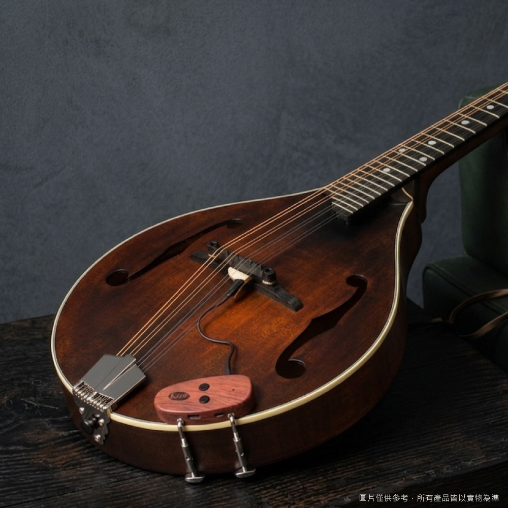 KNA KNA / 歐洲手工製 MP系列 曼陀羅琴 下弦枕拾音器 第 2 張圖片｜三峽配件 / 週邊