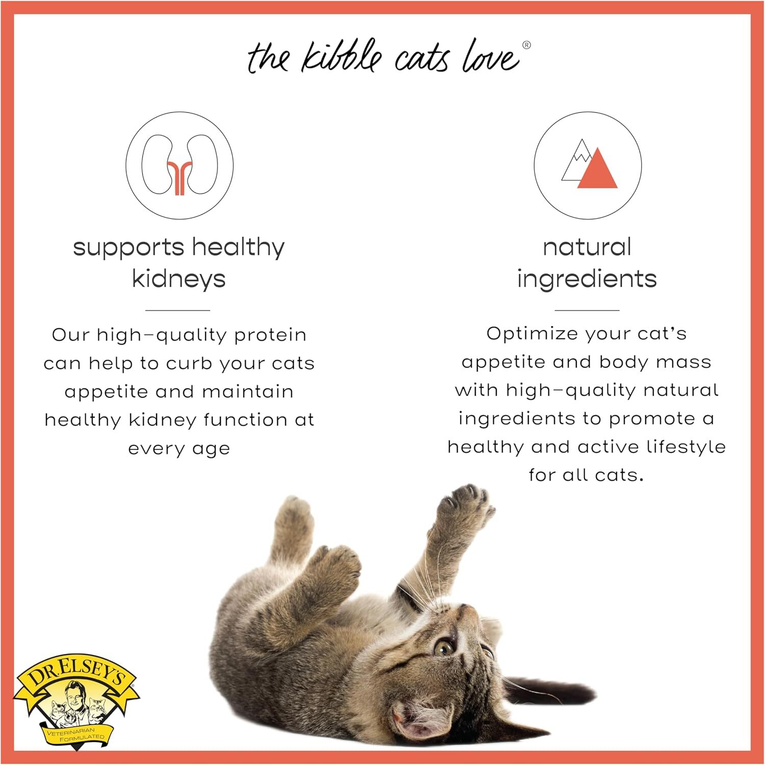 Dr.Elsey's 三文魚貓糧