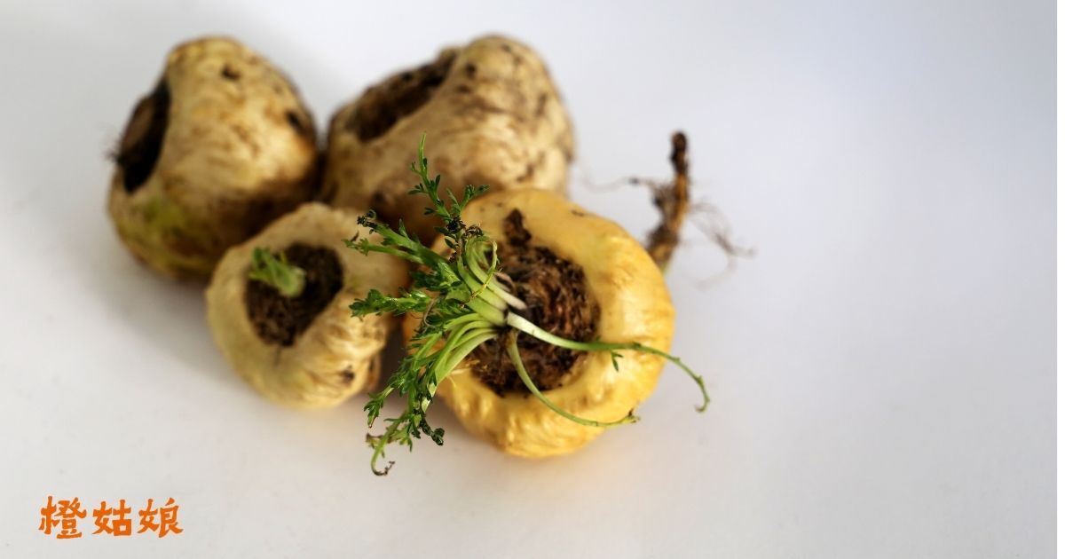 怎麼挑選瑪卡保健品