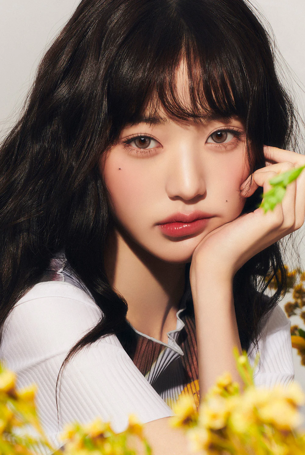 HAPA KRISTIN Pit-a-Pat Kristin 月拋隱形眼鏡 #Beige 米棕色